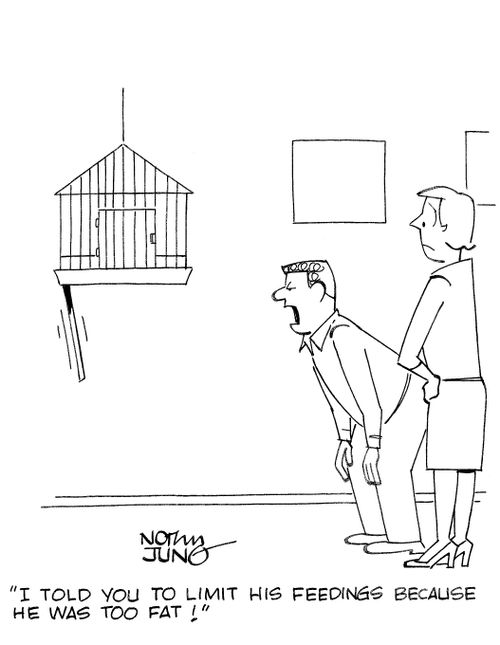 'I told you to limit his feedings because he was too fat!'
