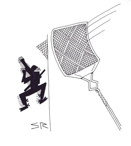 Ninja Fly Swatter