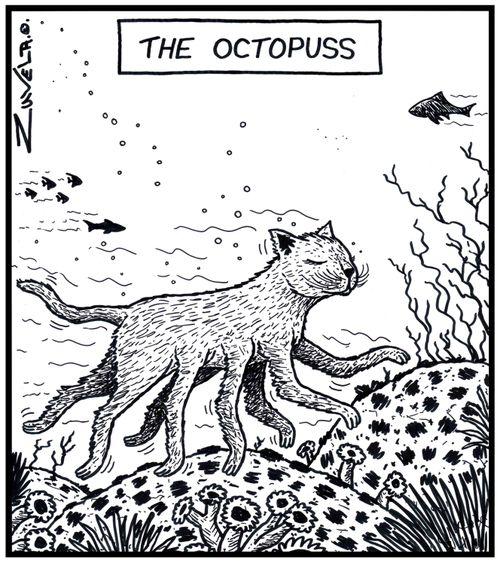 The Octopuss.