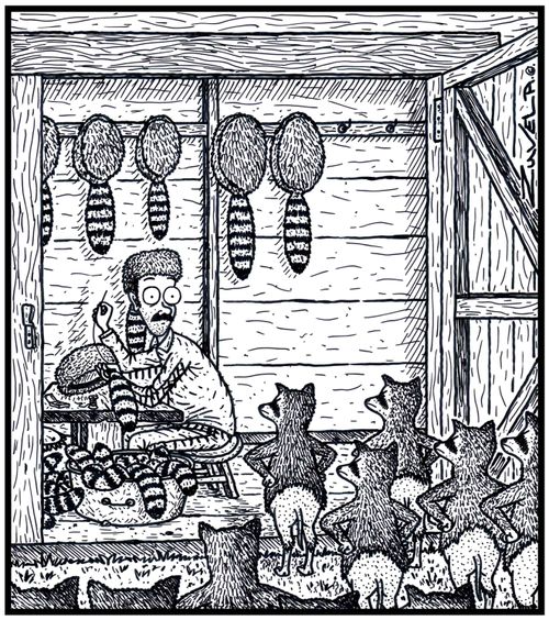  An angry gang of Raccoons have finally found the person with their former tail and butt fur.