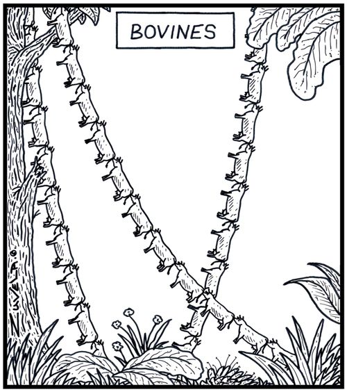 Bovines Herds of Cows in the form of Jungle vines