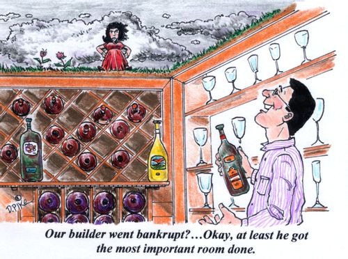 'Our builder went bankrupt?...Okay, at least he got the most important room done.'