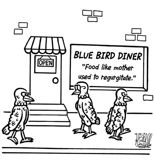 Blue Bird Diner food like mother used to regurgitate