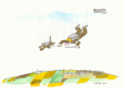 Blind man sky diving with his guide dog.