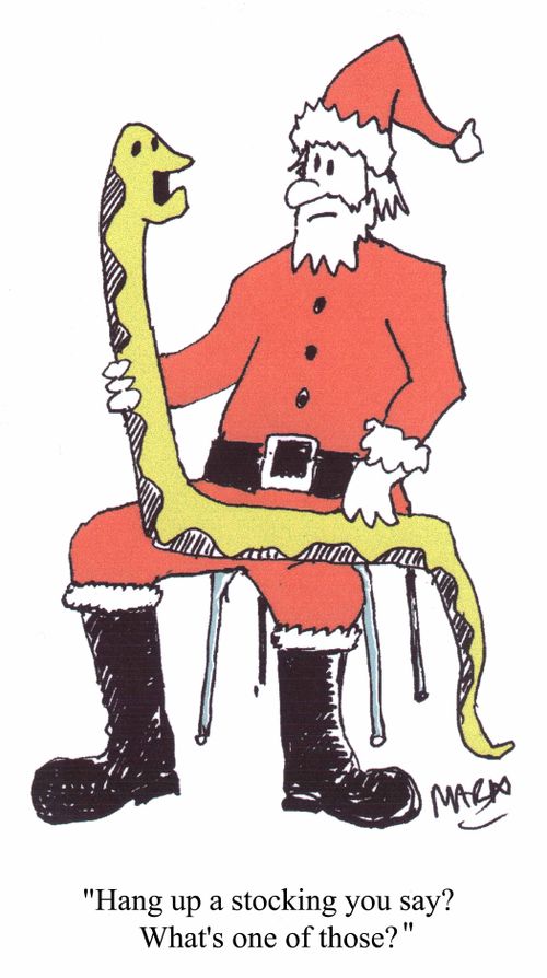 "Hang up a stocking you say? What's one of those?"