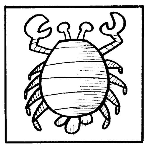 Cancer/crab