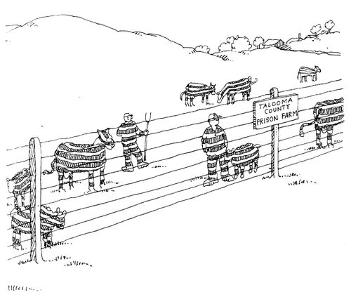 'Talooma County prison farm'