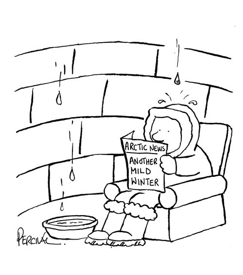 Arctic News - Another mild winter