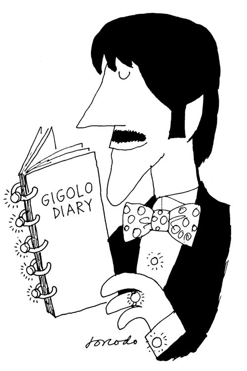 Gigolo Diary