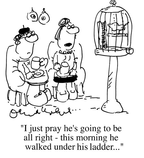 Looking at bird in cage, "I pray he's okay,this morning he walked under his ladder"