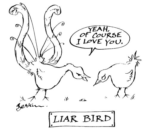 Liar Bird, "Yeah of course I love you"