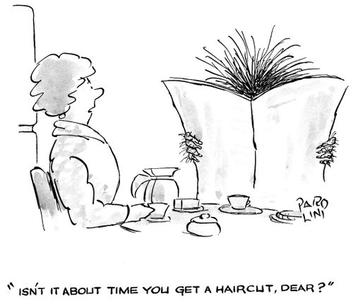 'Isn't it about time you get a haircut, dear?'