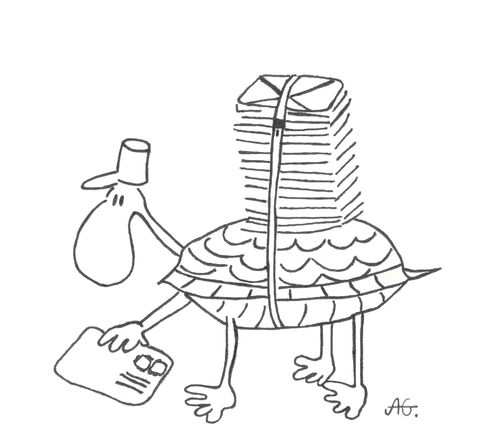 Tortoise Mailman.