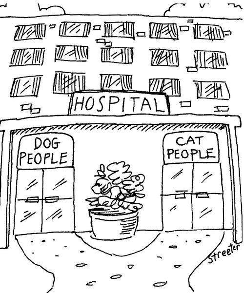 Hospital: Dog people, Cat people