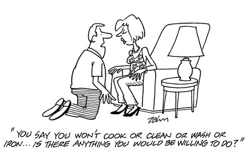 'You say you won't cook or clean or wash or iron...is there anything you would be willing to do?'
