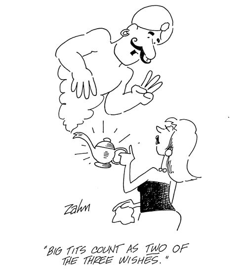 'Big tits count as two of the three wishes.'