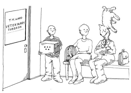 Veterinary Surgeon