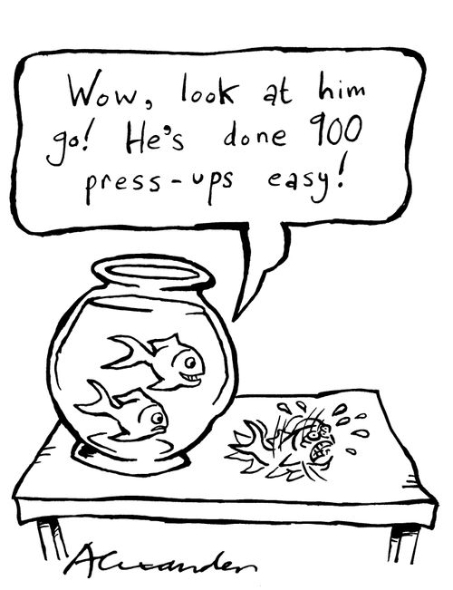"Wow, look at him go!  He's done 900 press-ups easy!"