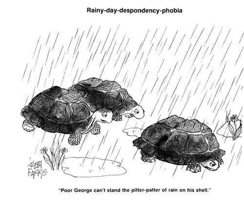 Rainy day despondency phobia: 'Poor George can't stand the pitter-patter of rain on his shell.'
