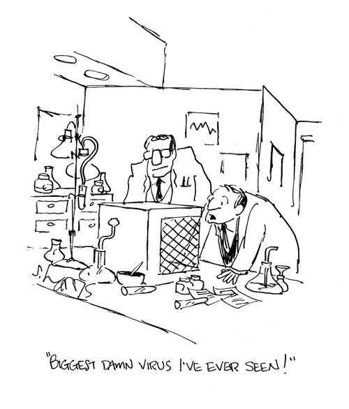 'Biggest damn virus I've ever seen!'
