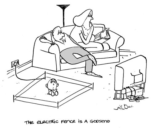'The electric fence is a Godsend.'