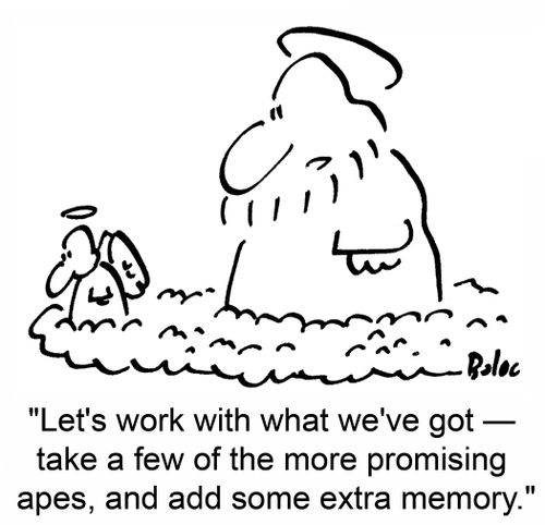 'let's work with what we've got -- take a few of the more promising apes, and add some extra memory.'