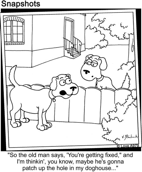 So the old man says 'you're getting fixed,' and I'm thinkin', you know, maybe he's gonna patch up the hole in my doghouse...