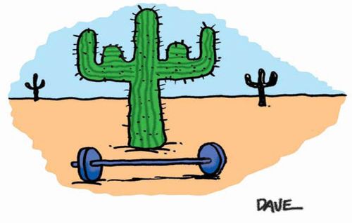Cactus with muscles and dumb-bells on ground.