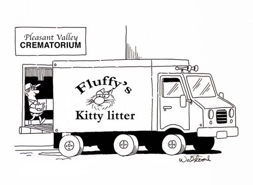Fluffy's kitty litter and the crematorium.