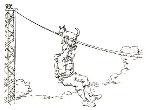 101 uses of a dead cat: zip line.