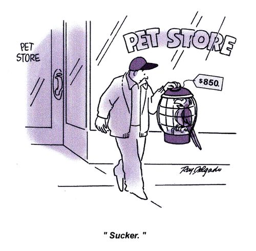'Sucker.'
