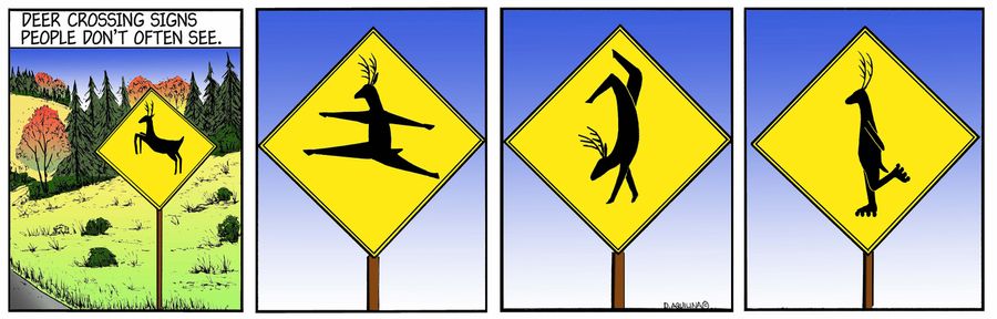 Deer Crossing Traffic Signs You Don't Often See.