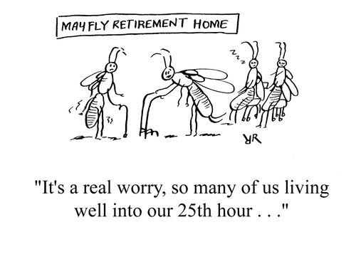 Mayfly Retirement Home: 'It's a real worry, so many of us living well into our 25 hour. . .'