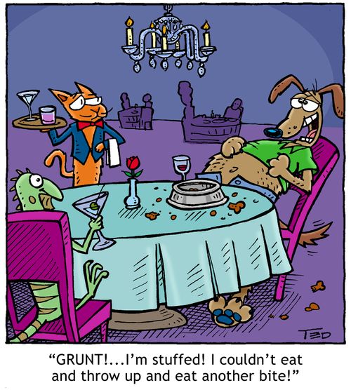 'Couldn't eat another bite!'