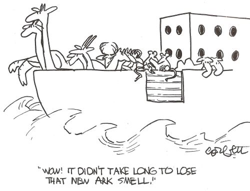 'Wow! It didn't take long to lose that new ark smell.'