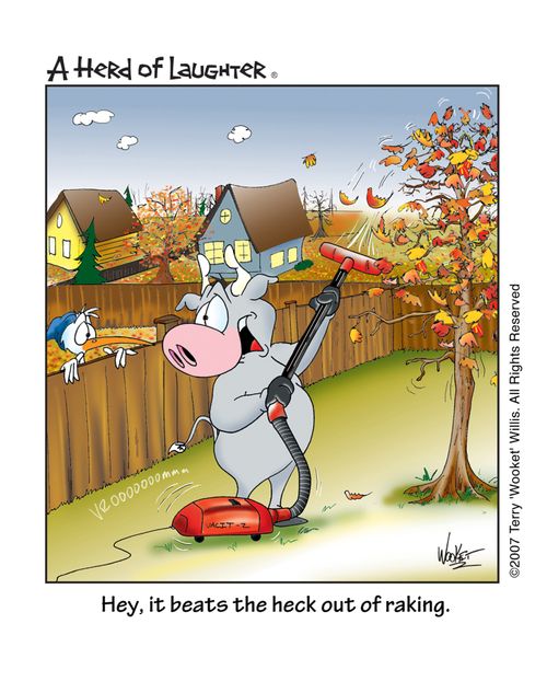 'Hey, it beats the heck out of raking.'