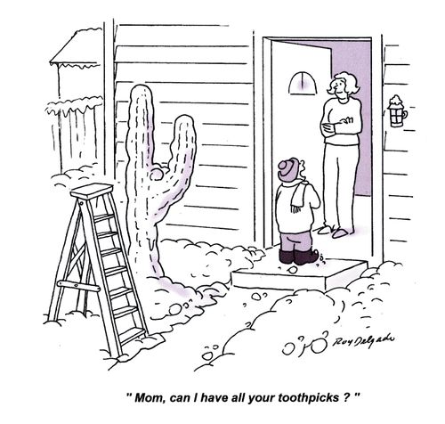 'Mom, can I have all your toothpicks?'