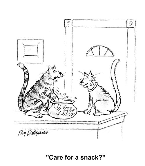 'Care for a snack?'