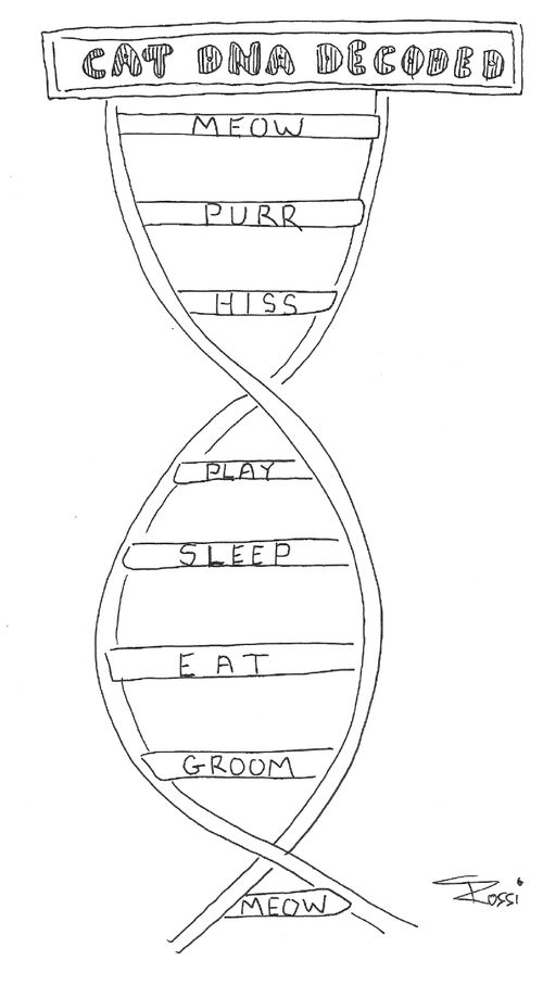Cat DNA is decoded.