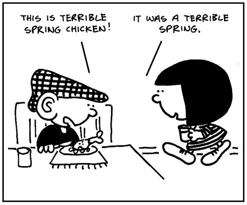 'This is terrible spring chicken.' - 'It was a terrible spring.'