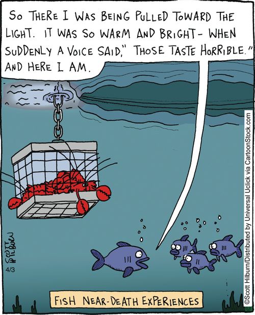 Fish near-death experiences.