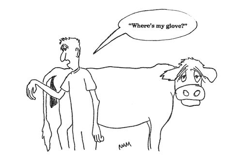 'Where's my glove?'