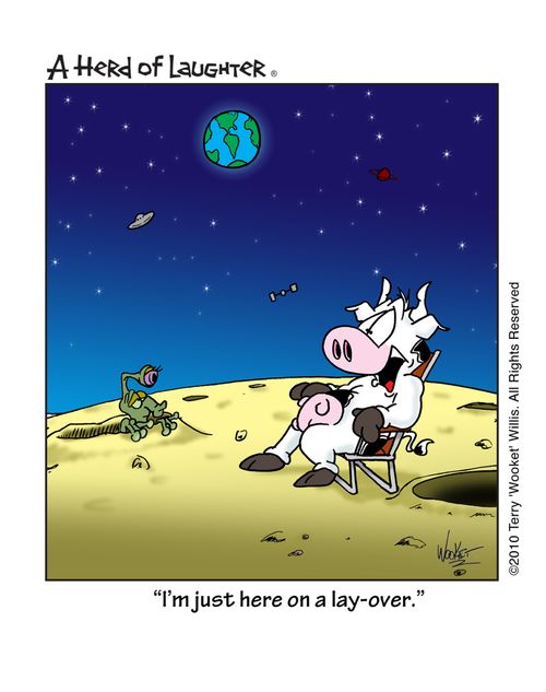 'I'm just here on a lay-over.'
