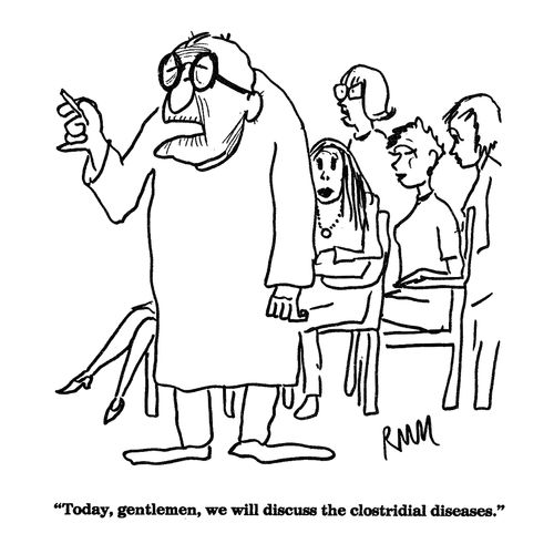 'Today, gentlemen, we will discuss the clostridial diseases.'