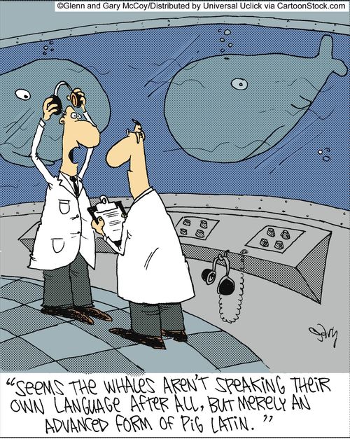 'Seems the whales aren't speaking their own language after all, but merely an advanced form of pig Latin.'