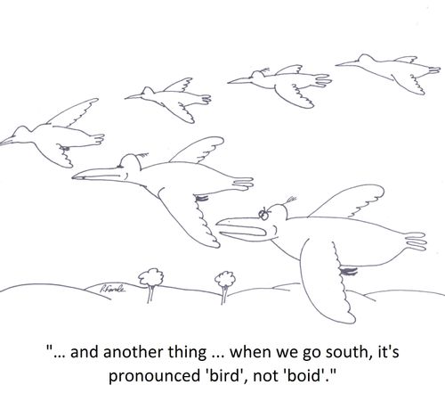 '… and another thing ... when we go south, it's pronounced 'bird', not 'boid'.'