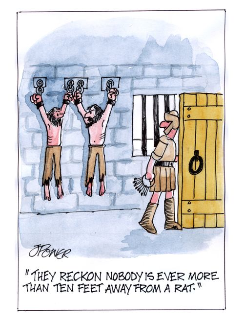 'They reckon nobody is ever more than ten feet away from a rat.'