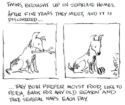 'Twins, brought up in separate homes...take several naps each day'