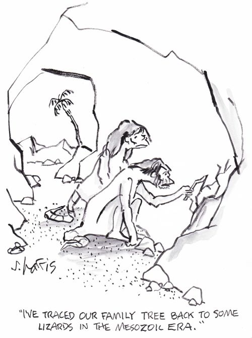 'I've traced out family tree back to some lizards in the Mesozoic era.'