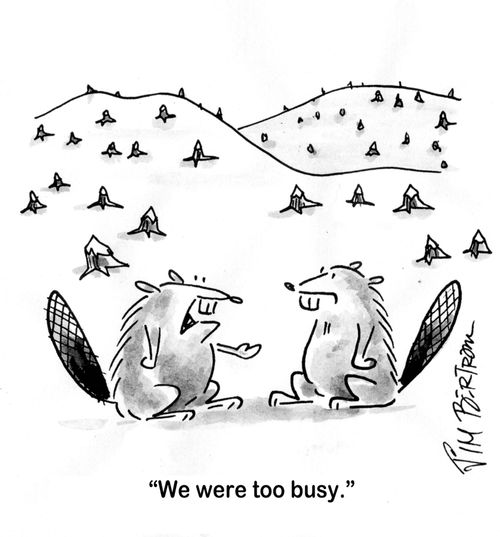 'We were too busy.'
